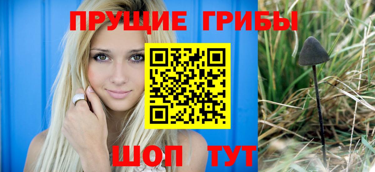 Псилоцибиновые грибы GOLDEN TEACHER  Вход с VPN  Воскресенск 