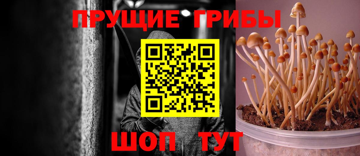 Псилоцибиновые грибы мицелий Воскресенск